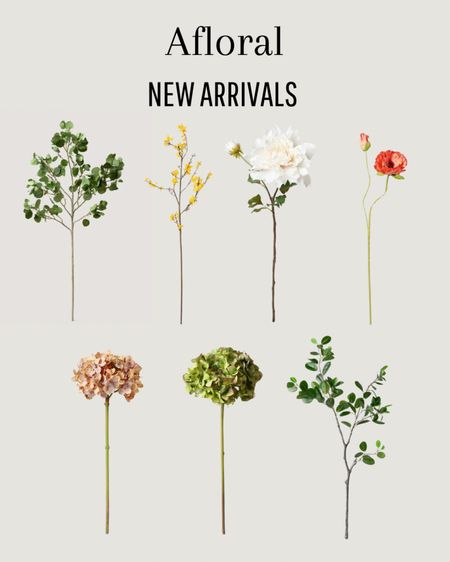 Afloral new arrivals! 

#LTKstyletip #LTKhome #LTKSeasonal