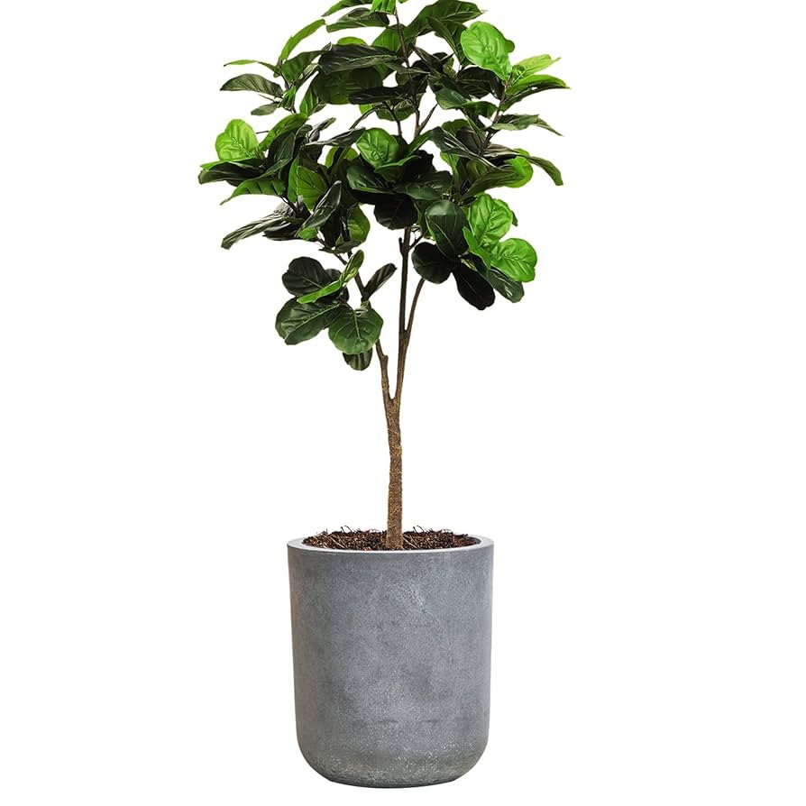 Round Concrete Planter Pot, Large Cement Planter Containers with Drainage Hole for Indoor Plants ... | Amazon (US)