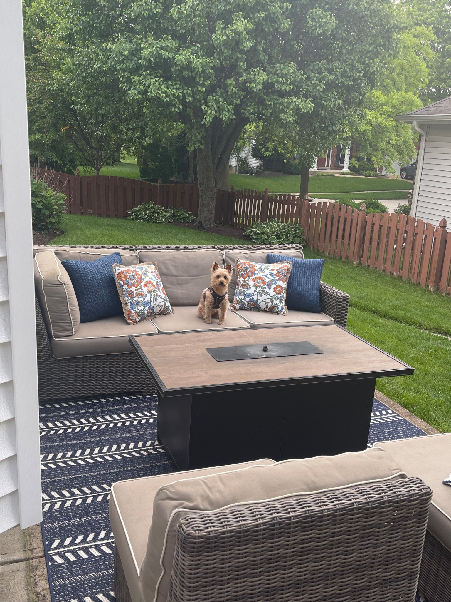 Love this navy blue outdoor area rug find! Perfect for adding a splash of color to your backyard patio. ☀️

#LTKHome