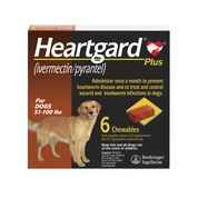 Heartgard Plus Chewables | 1800PetMeds