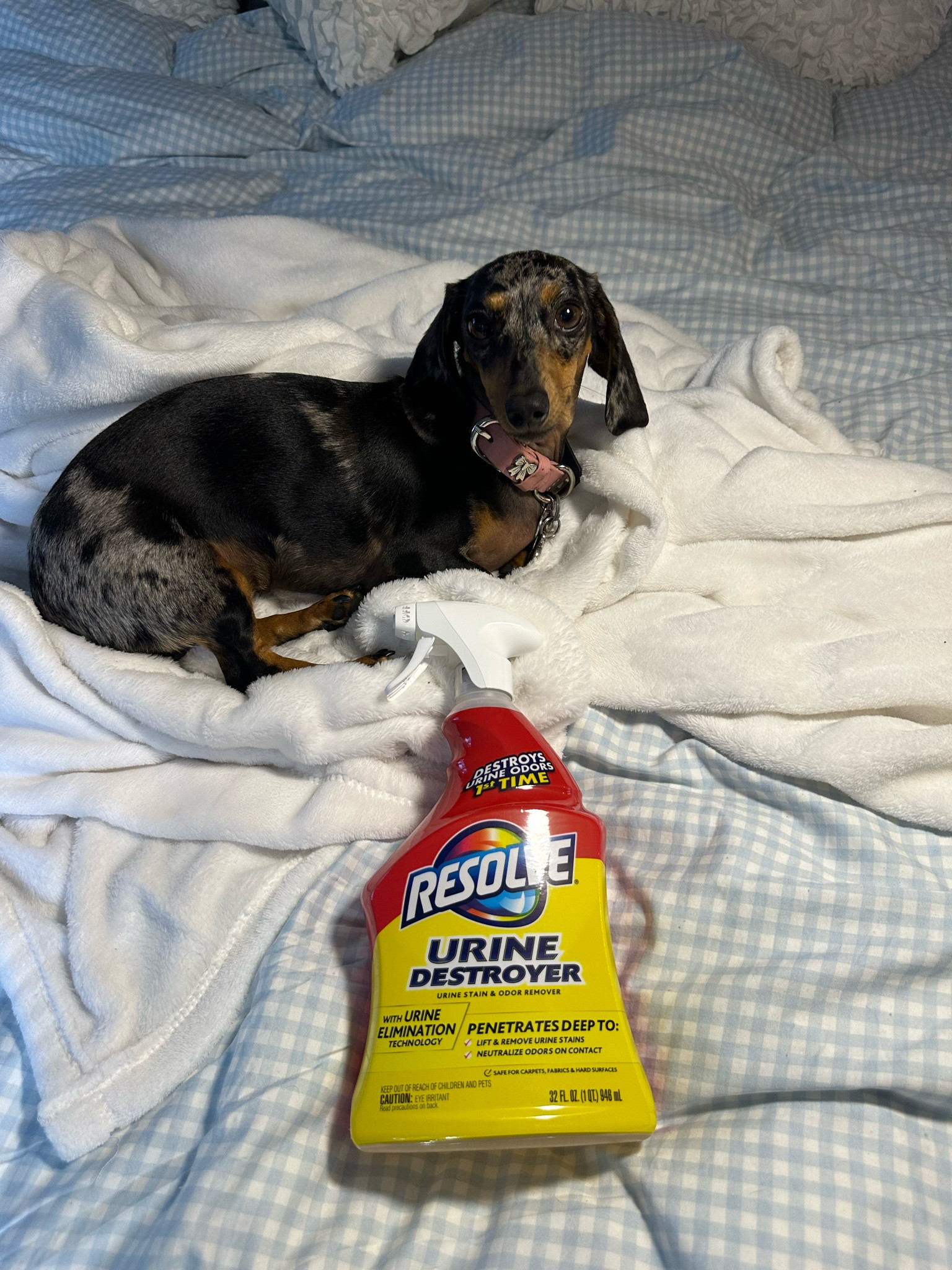 Love my resolve pet cleaner #Ad #RESOLVEpartner
#lovetheloveresolvethemess #TargetPartner #Target