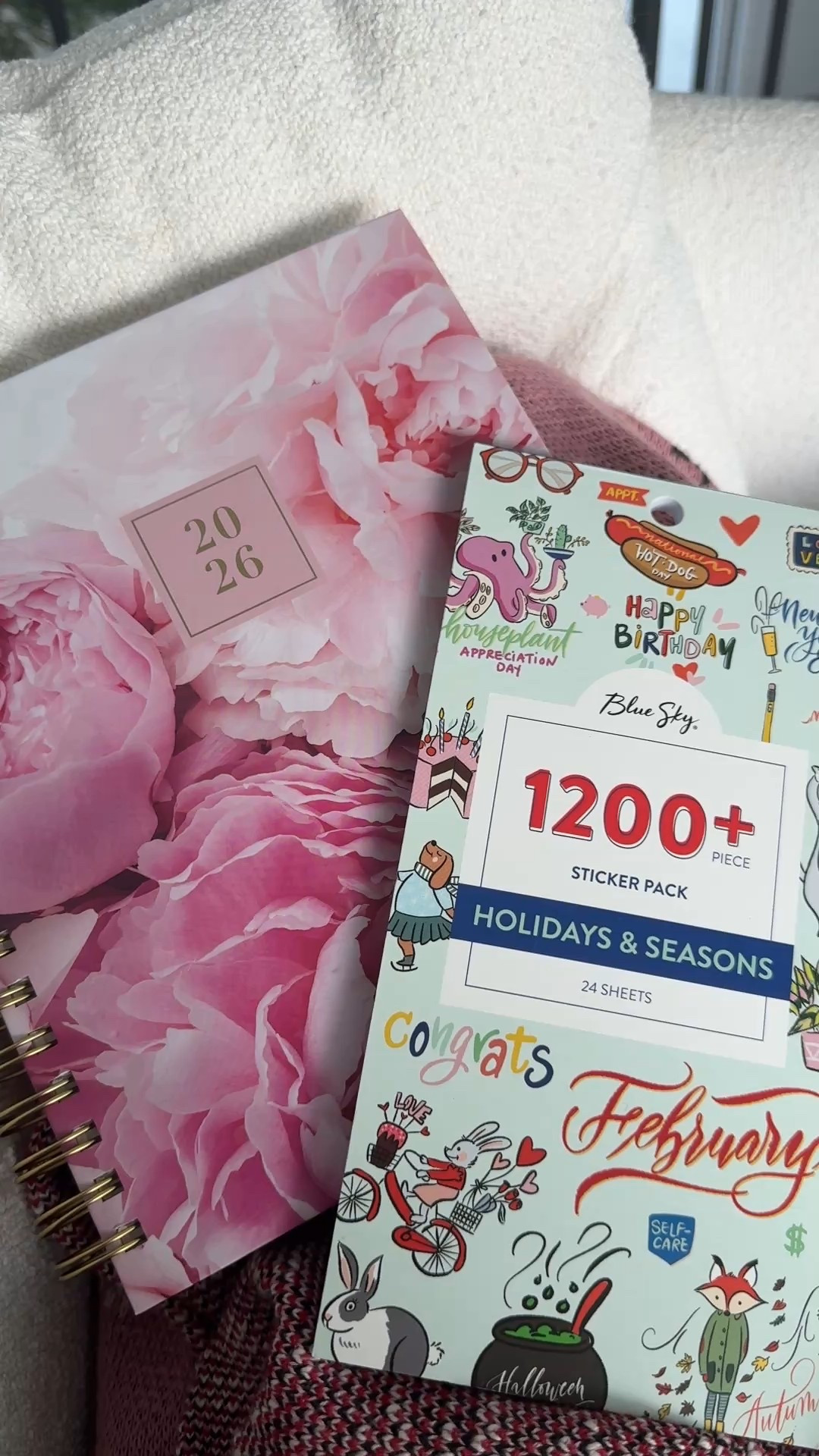 Morning planning time
New 2026 planner + stickers 

#LTKFindsUnder50