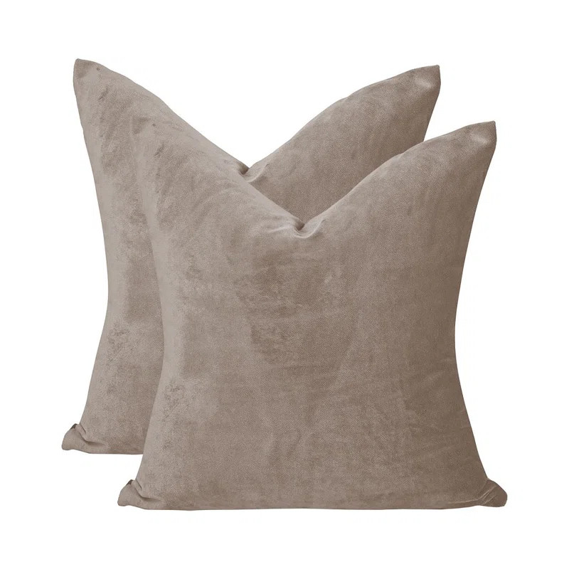 Velvet Throw Square Pillow Cover (Set of 2) | Wayfair North America