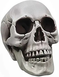 POWER TOY Life Size Skull Plastic Human Skeleton Skull for Halloween Decoration Plastic Skull Gra... | Amazon (US)