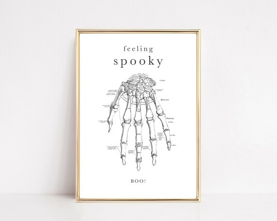 anatomy art | halloween home decor | anatomy poster | spooky decor | minimalist black and white h... | Etsy (US)