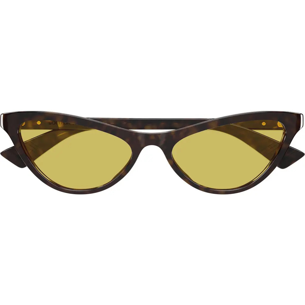 Bottega Veneta 56mm Cat Eye Sunglasses in Havana at Nordstrom | Nordstrom