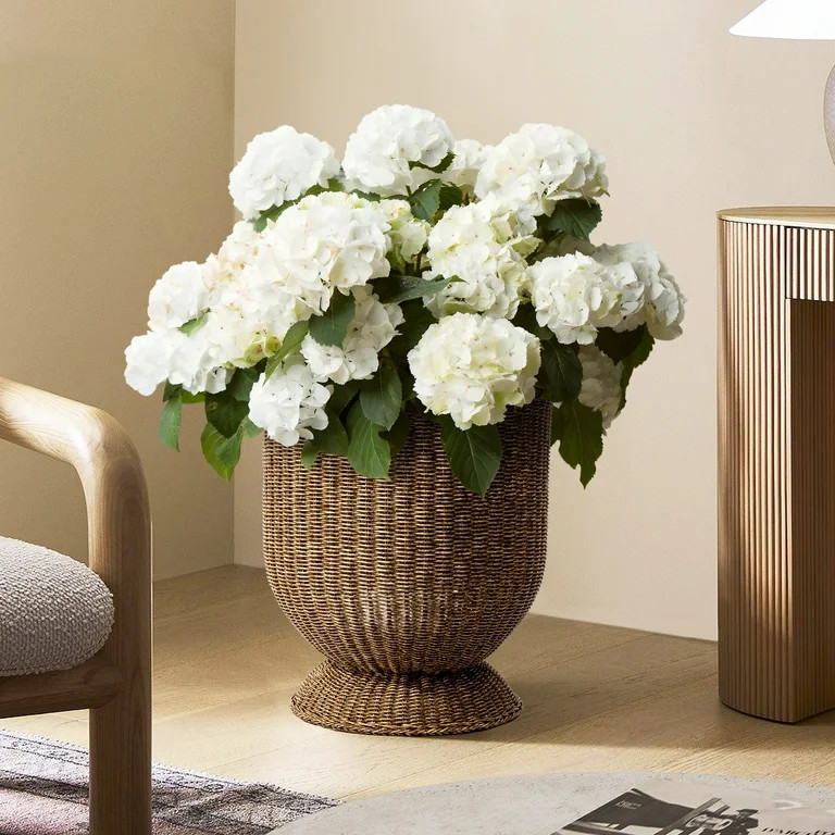 My Texas House 16 inch Brown Woven Resin Urn Planter | Walmart (US)