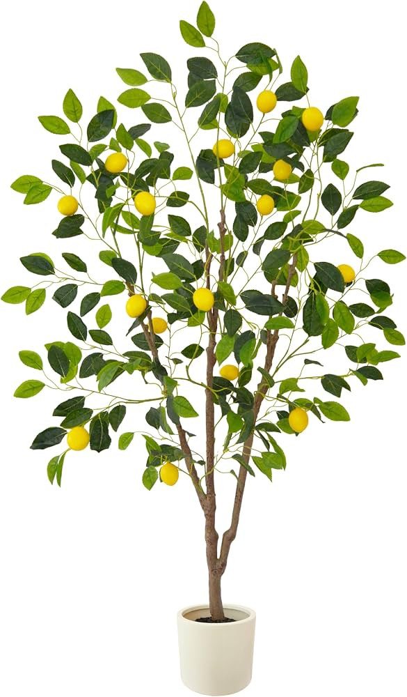 Warmplants Artificial Lemon Tree, 5ft Tall Fake Lemon Silk Plant with White Planter, Faux Lemon P... | Amazon (US)