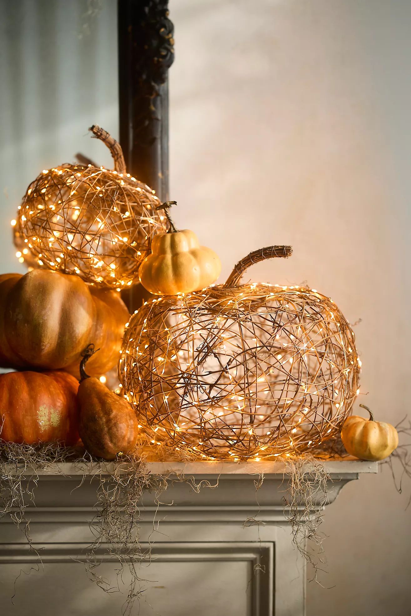 Illuminated LED Vine Pumpkin | Anthropologie (US)