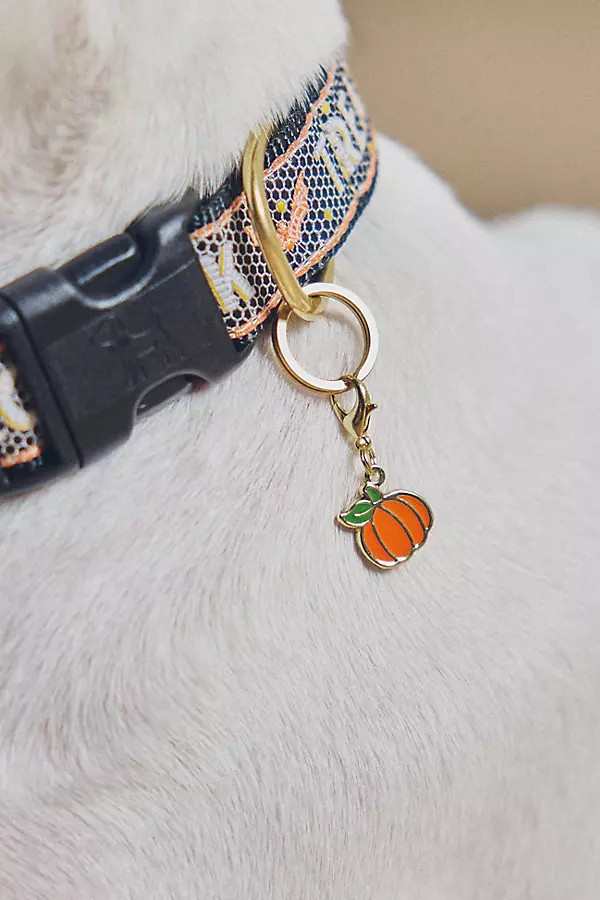 Pet Collar Charm | Anthropologie (US)