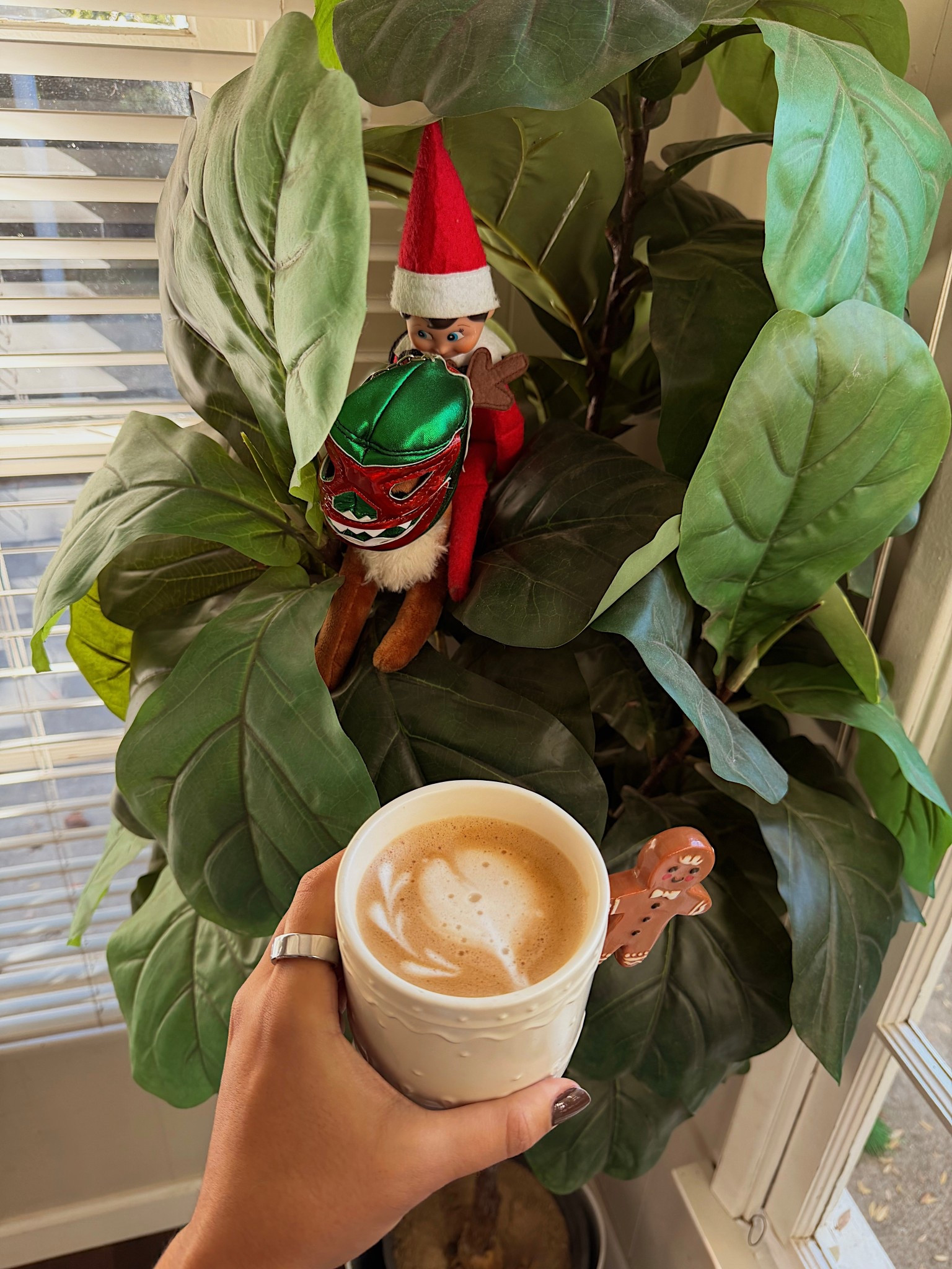 Homemade coffee is always better 🎄☕️


#LTKdayinmylife #LTKHoliday #LTKGiftGuide