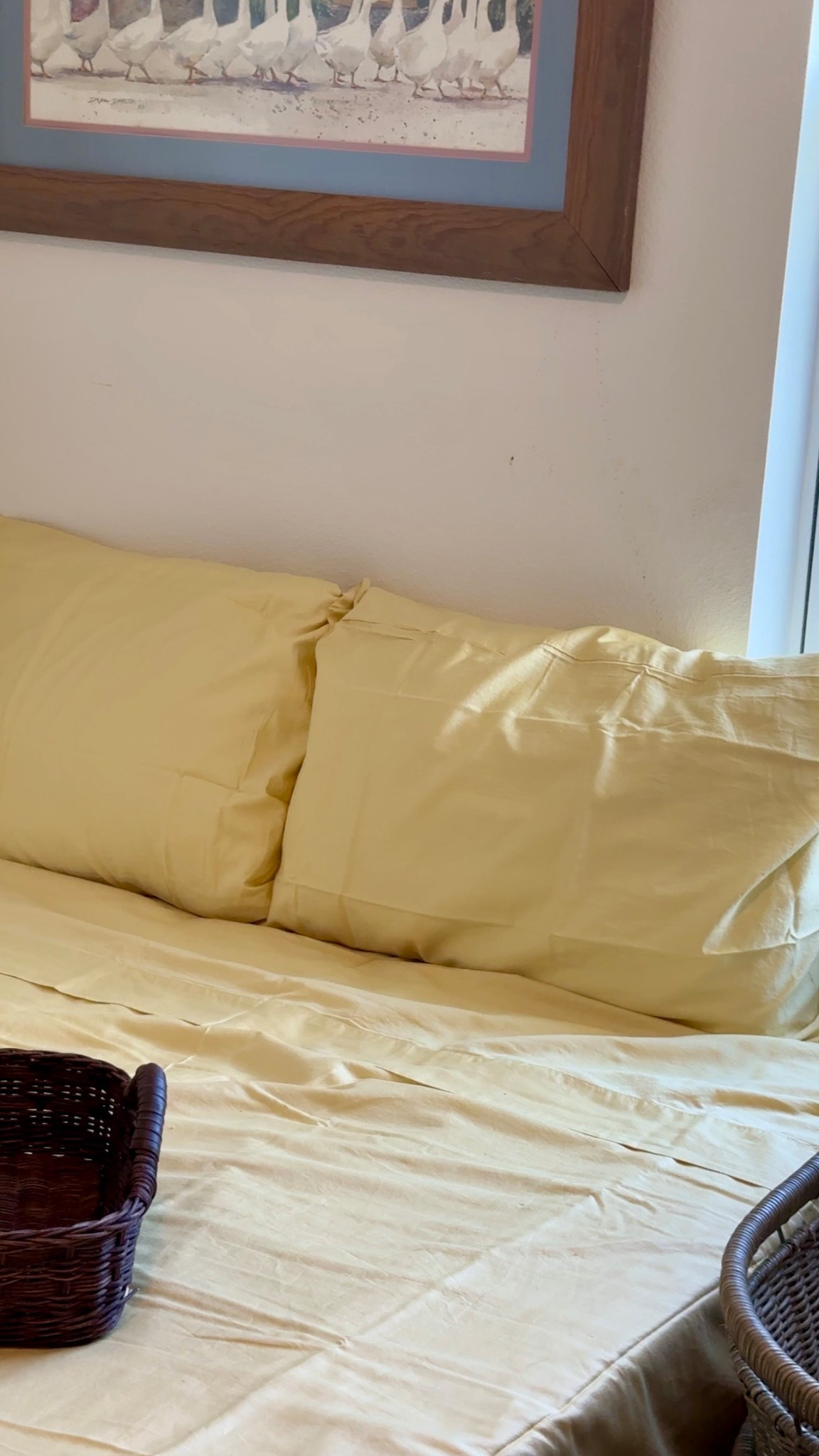 NEW BED SHEETS ALERT! 🌟🌞🌼 how gorgeous is this Sunny color?! 🍯 i love the warmth it brings to my room (and the cold winter nights) i just LOVE bundling up! The sheets are a smooth buttery texture, and these are Sateen Bed sheets from Naturepedic! A MUST TRY!! 🌞🌟💛

#LTKFindsUnder100 #LTKHome #LTKselfcare