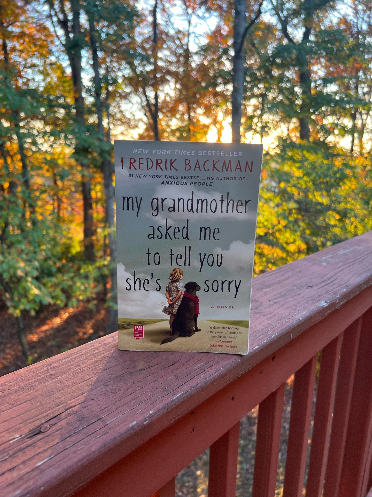 Elsa is seven years old and different. Her grandmother is seventy-seven years old and crazy—as in standing-on-the-balcony-firing-paintball-guns-at-strangers crazy. She is also Elsa’s best, and only, friend. At night Elsa takes refuge in her grandmother’s stories, in the Land-of-Almost-Awake and the Kingdom of Miamas, where everybody is different and nobody needs to be normal.

When Elsa’s grandmother dies and leaves behind a series of letters apologizing to people she has wronged, Elsa’s greatest adventure begins. Her grandmother’s instructions lead her to an apartment building full of drunks, monsters, attack dogs, and old crones but also to the truth about fairy tales and kingdoms and a grandmother like no other.

My Grandmother Asked Me to Tell You She’s Sorry is told with the same comic accuracy and beating heart as Fredrik Backman’s bestselling debut novel, A Man Called Ove. It is a story about life and death and one of the most important human rights: the right to be different. 

#LTKGiftGuide #LTKHoliday #LTKFindsUnder50