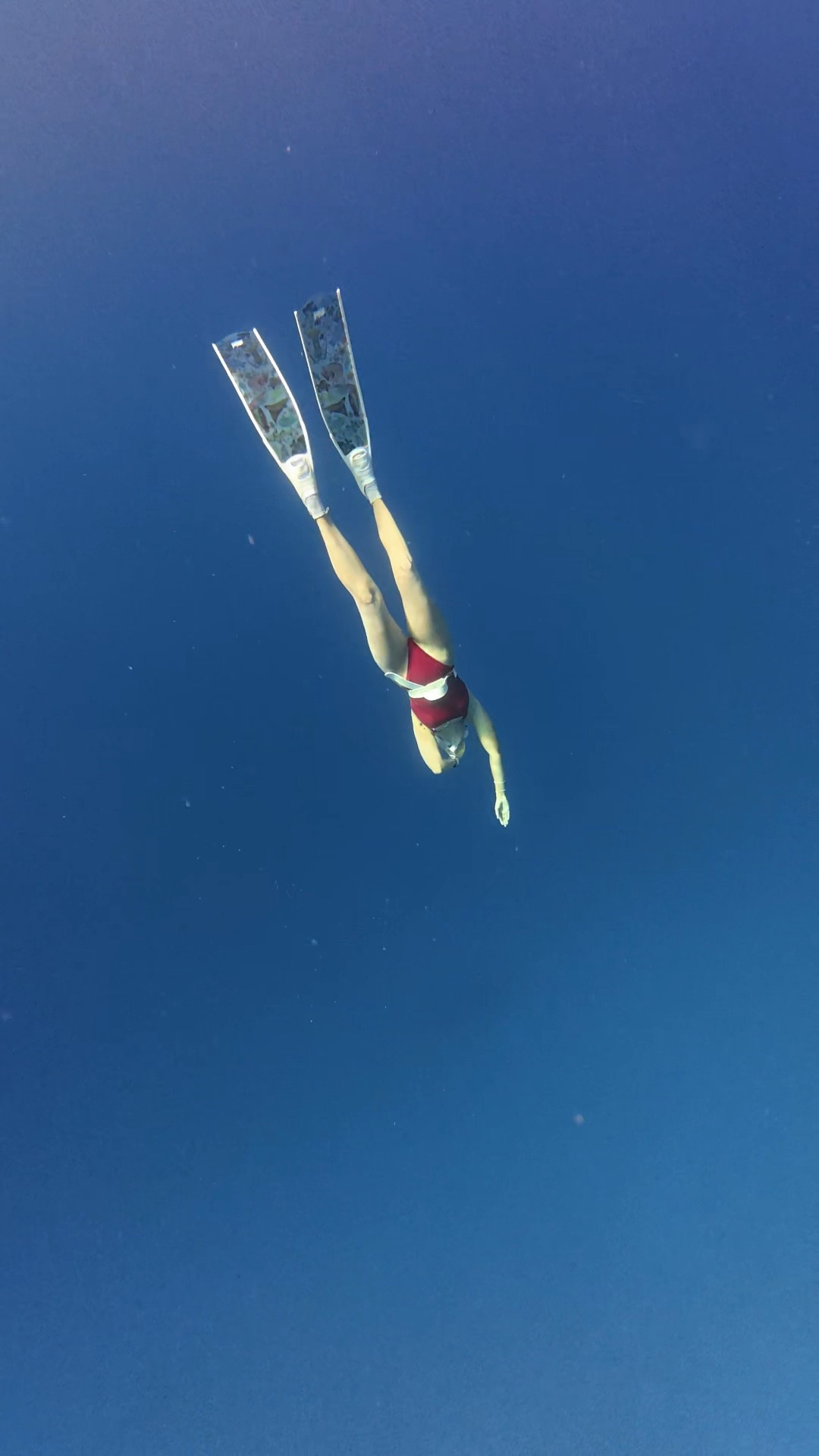 Video of the FULL dive (length of my breath hold & exact depth) coming tomorrow!👀🤿 Follow along to see it!

Wearing:
@divermonart fins (use code ALYSSA10 for 10% off!)
@ta3 swimsuit
@apple Watch Ultra 2 (tracks my dive time and depth)
@cressi1946 mask & snorkel

Exact products linked on my LTK🫶

#freediving #ocean #hawaii #freediver diving

#LTKSwim #LTKActive #LTKTravel