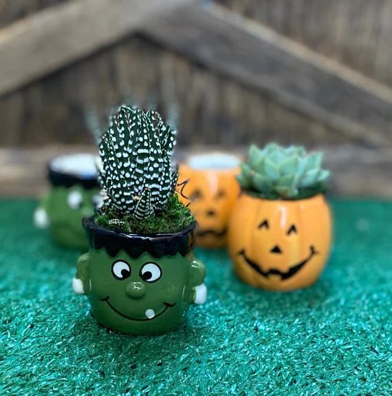 Halloween Pumpkin Jack 'O Lantern  Frankenstein Succulent | Etsy | Etsy (US)