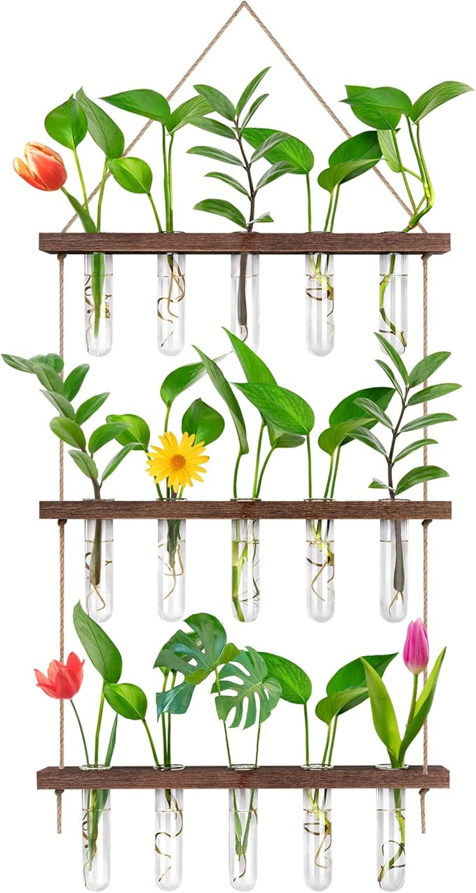 EVEAGE Propagation Station, Wall Hanging Planter Terrarium Retro 3 Tiered Propagation Test Tube f... | Amazon (US)