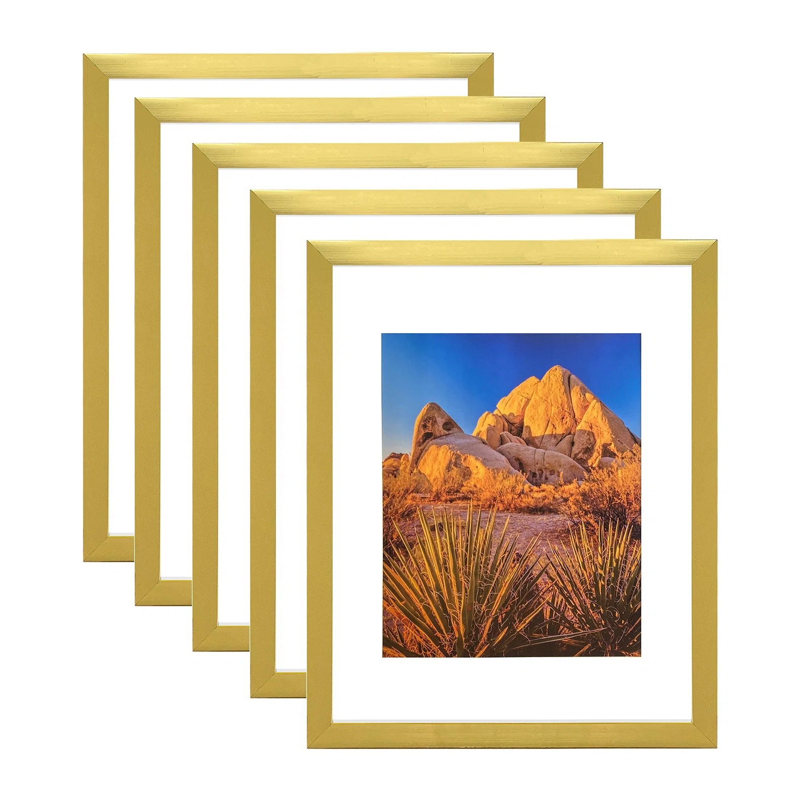11" × 14" Premium 5PC Photo Frame Set | Wayfair North America