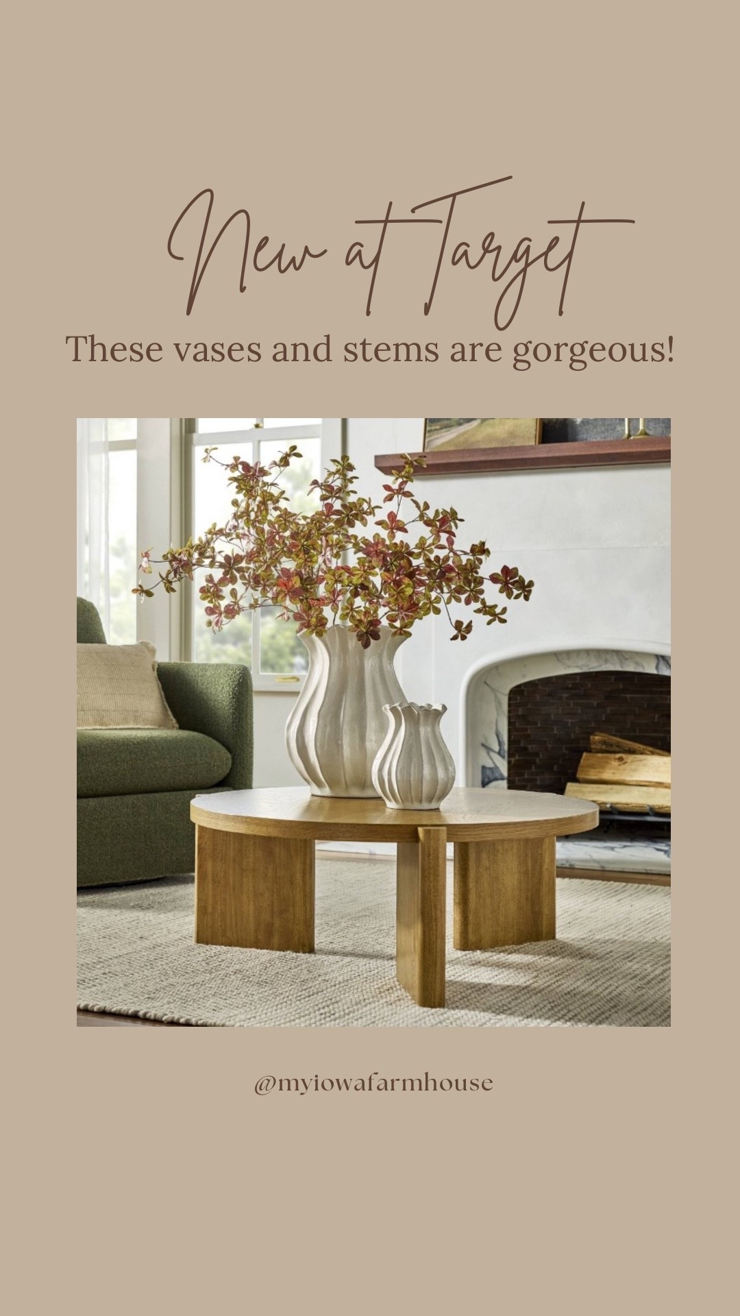 These vases and stems from Target are so rich looking and pretty! They are from the new Hearth and Hand by Magnolia collection!

#LTKHome #LTKFindsUnder50 #LTKSeasonal