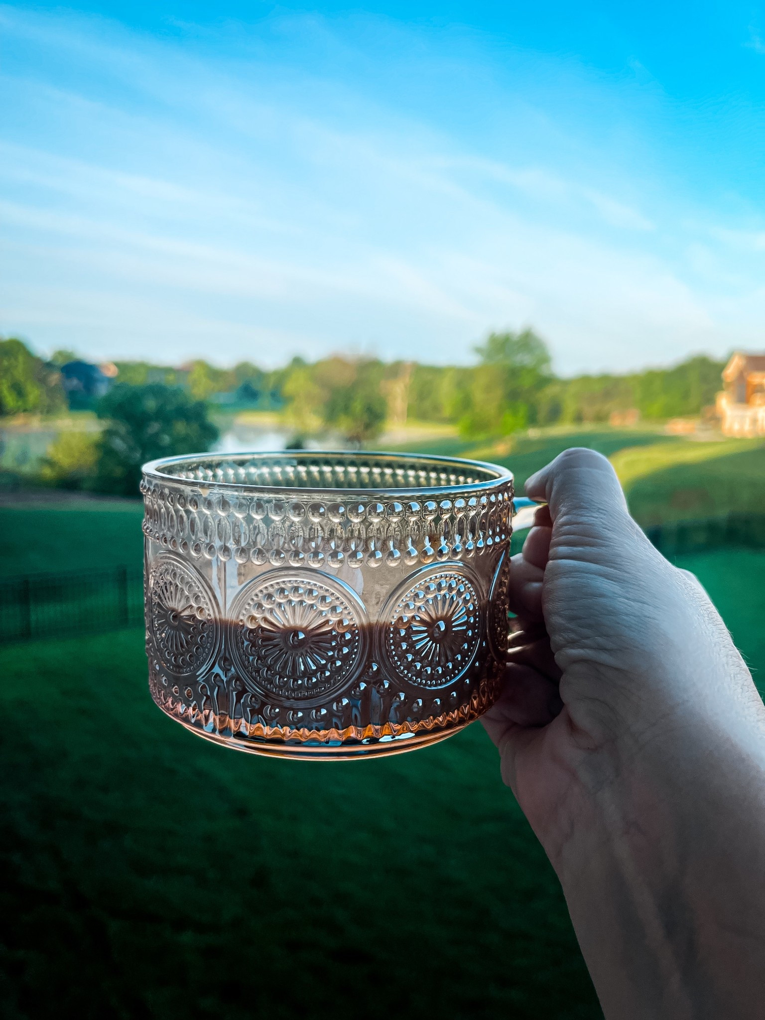 Skinny coffee but make it boujie... these mugs are 😍😍😍 #coffee #coffeemug @amazon #amazon #LTKamazon #mugs #gifts #mothersday

#LTKHome #LTKGiftGuide #LTKSeasonal