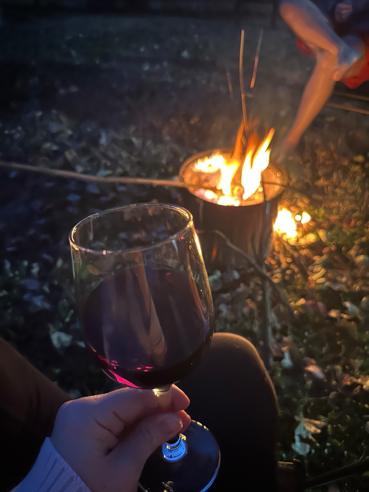 Favorite way to spend a fall night 
The solo stove was Eric’s Christmas gift last year and we absolutely love it 
He and the kids make fires in the backyard all the time using it 

#LTKGiftGuide #LTKMens #LTKCyberWeek