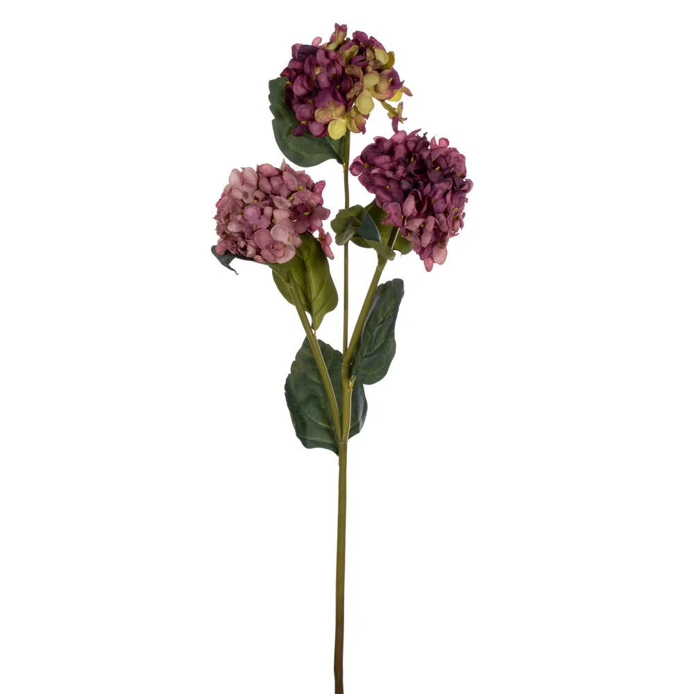 Ranbir Hydrangea Stem | Wayfair North America
