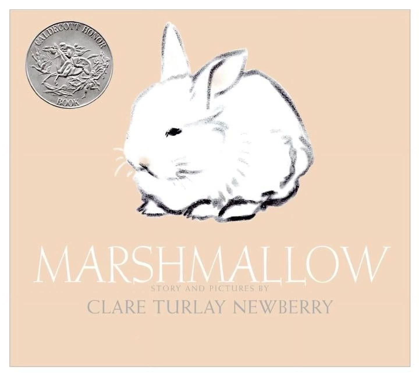 Marshmallow: An Easter and Springtime Book for Kids (Hardcover) | Walmart (US)