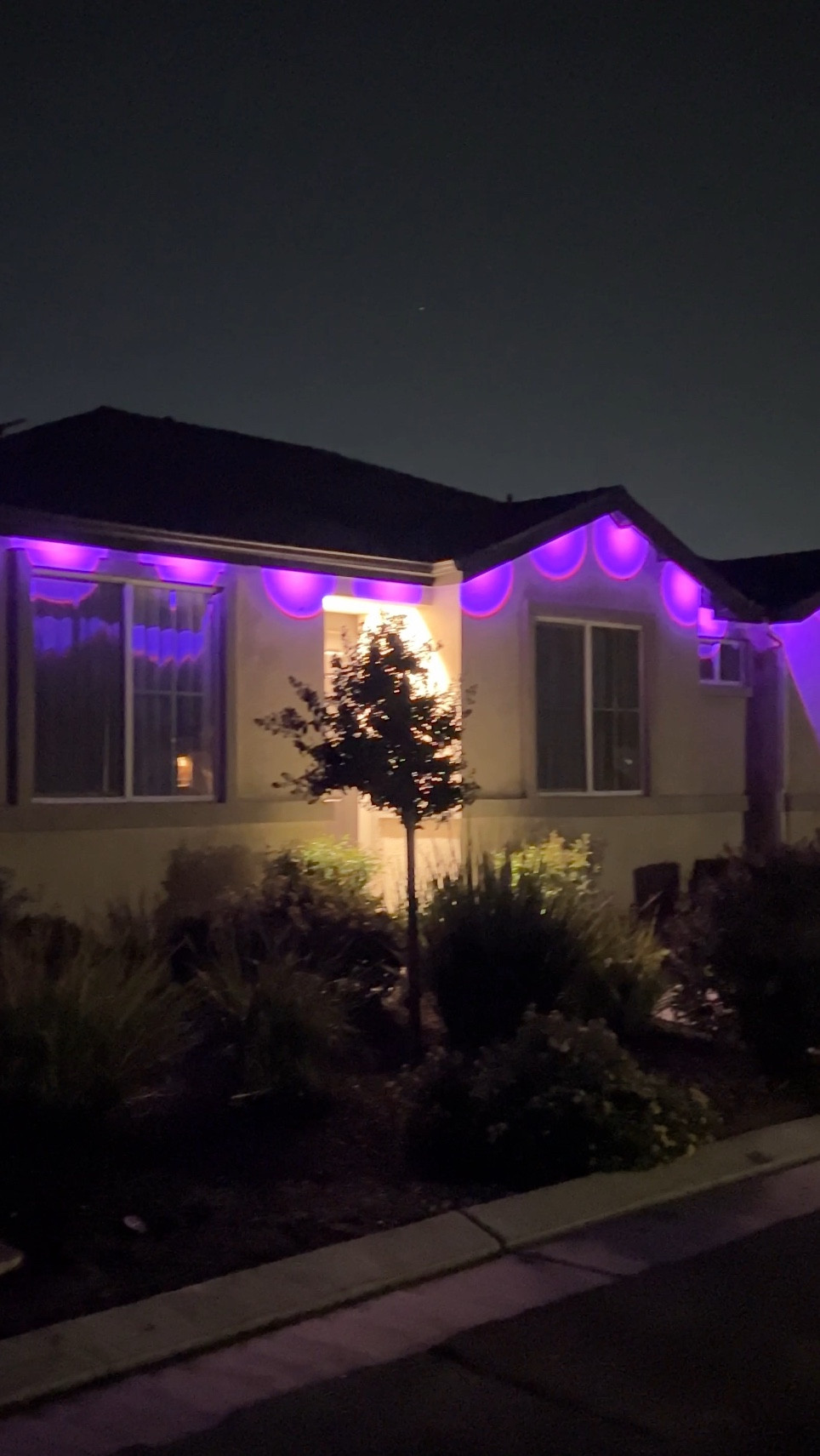Permanent outdoor lights! Easy to install!

#LTKHome #LTKHoliday #LTKSeasonal