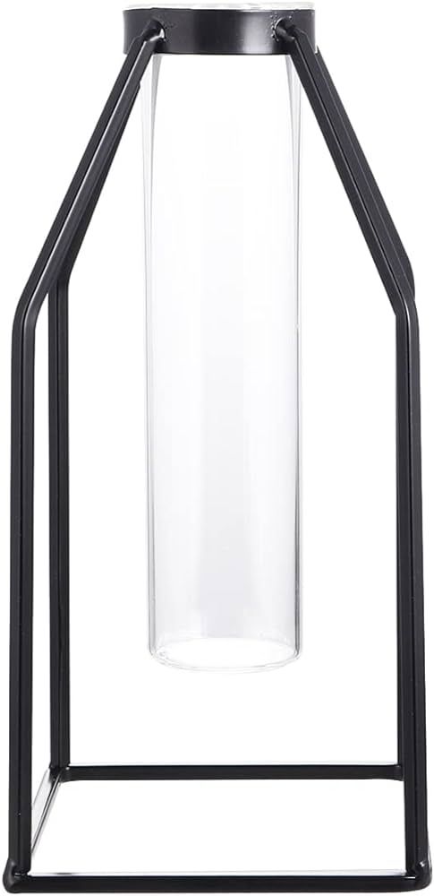 BESPORTBLE Nordic Simple Glass Vase Iron Art Vase Desktop Flower Vase with Metal Stand Hydroponic... | Amazon (US)