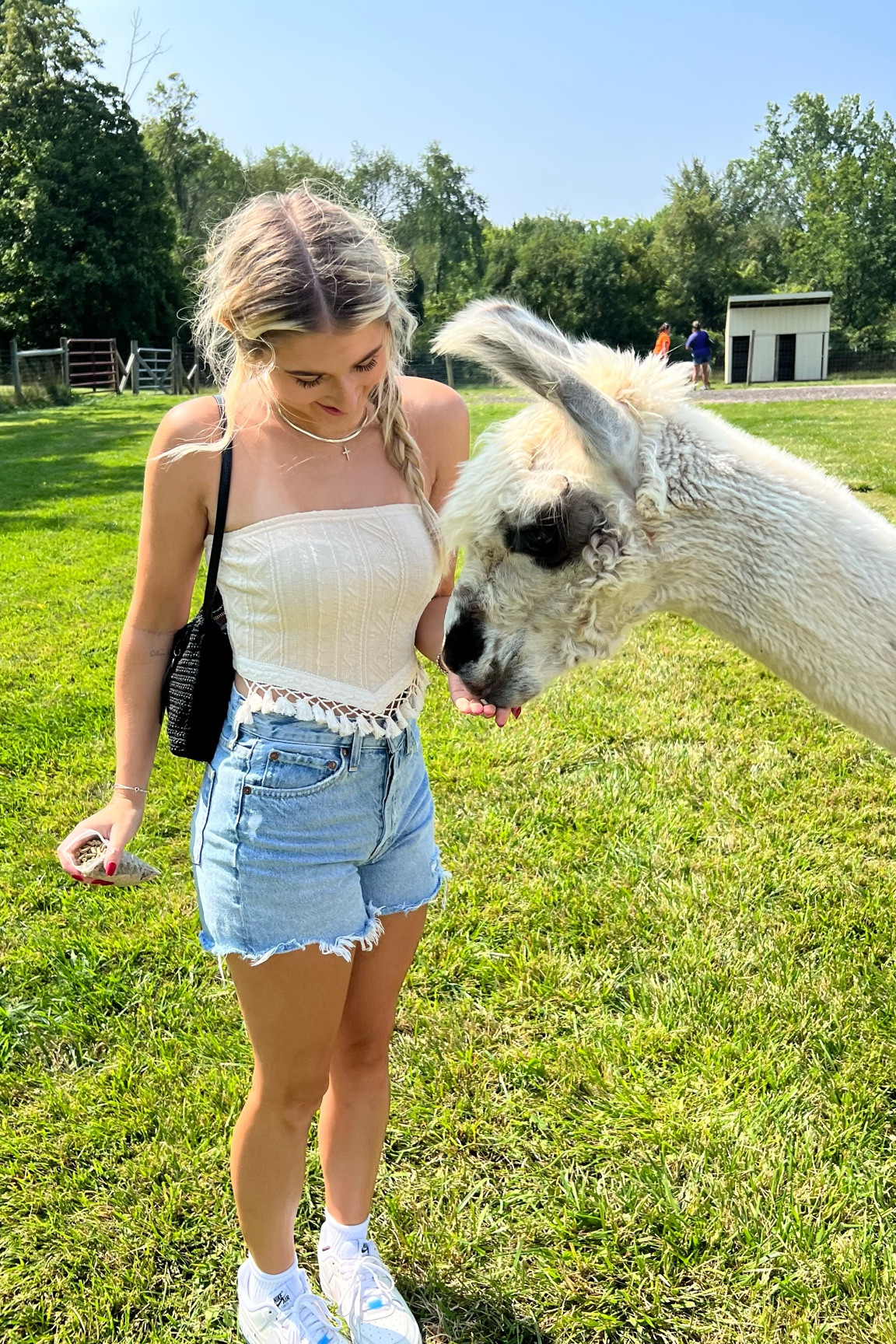 Top not available but linked everything else! 