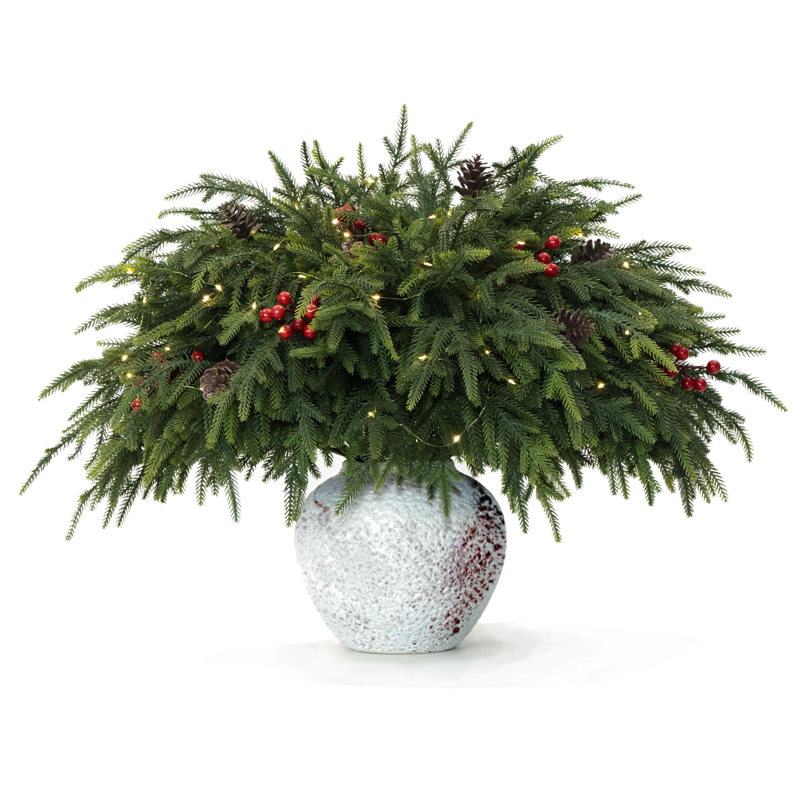 WHANLEY L&Q 20-Piece Set 23" Christmas Norfolk Pine Branches with Lights - Battery Operated Chris... | Amazon (US)