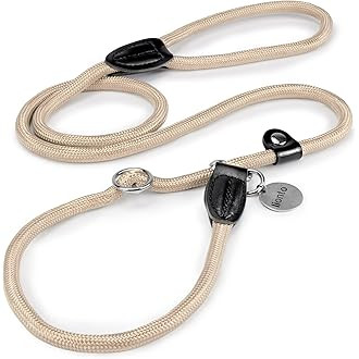 HUNTER Retriever-Hundeleine FREESTYLE, Farbe: beige, integrierte Halsung, stufenlos verstellbar, ... | Amazon (DE)