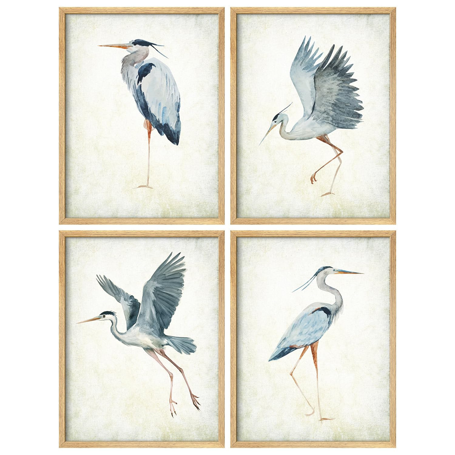 SIGNWIN Framed Poster Set Watercolor Heron Bird Elegant Herons in Various Poses Illustrations Mod... | Amazon (US)