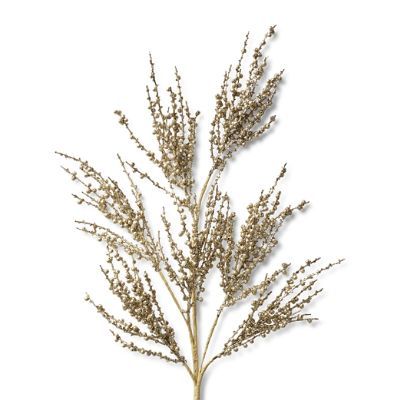 Glitter Seed Stem. Set of Six | Frontgate | Frontgate