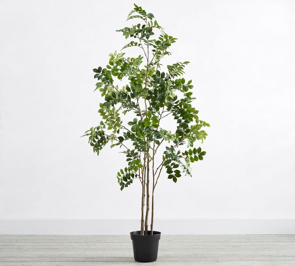 Faux Potted Green Leaf Tree, 6'H | Pottery Barn (US)