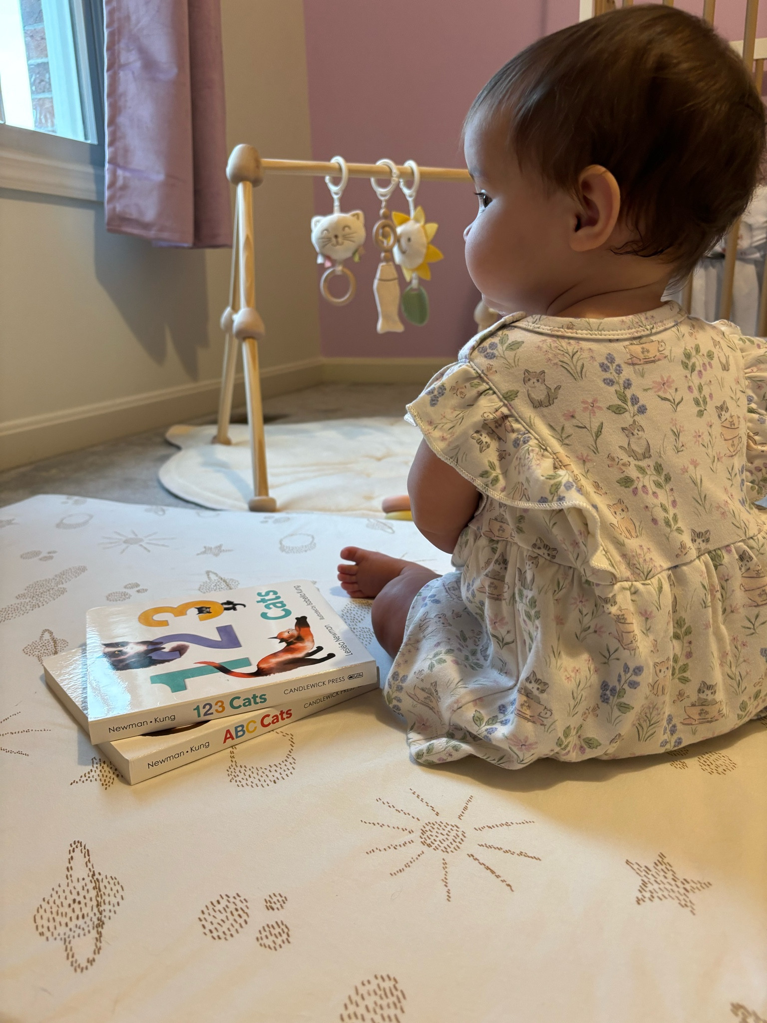 Letters and numbers with CATS books! 