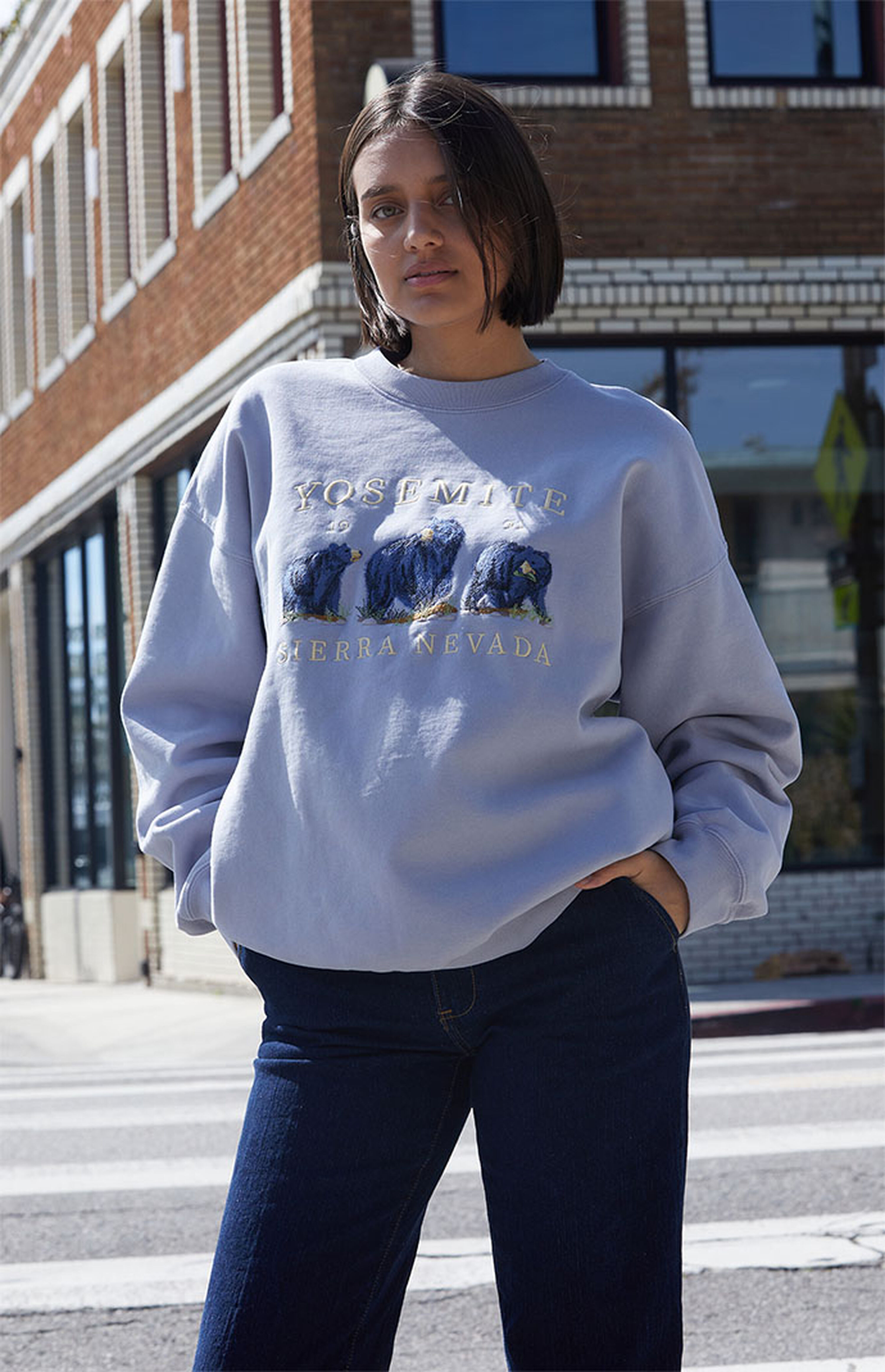 John Galt Light Blue Yosemite Bears Crew Neck Sweatshirt | PacSun