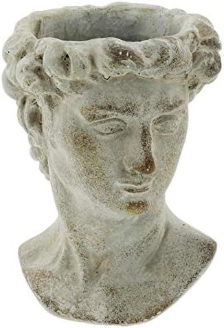 The Bridge Collection Small Greek Statue Head Cement Planter, 6" | Amazon (US)