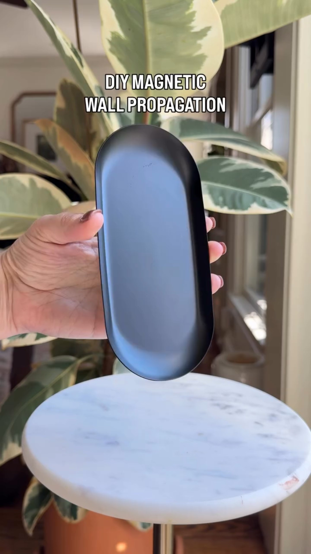 Another pretty propagation idea! These cute metal plates come on black, gold and white. Perfect for anything magnetic. These are super cute by themselves but would also look amazing mixed into a gallery wall. Options are endless!

#houseplants #houseplantclub #houseplantsofinstagram #houseplantlove #houseplantcommunity #houseplantclub #houseplantsmakemehappy #houseplantdiary #houseplantaddict #houseplantlover #houseplanthome #houseplantdesign #planter #plantfilledhome #plantdecorideas #plantlover #plantlife #plantmom #plantparenthood #plantsmakepeoplehappy #plantsmakemehappy #plantstyling