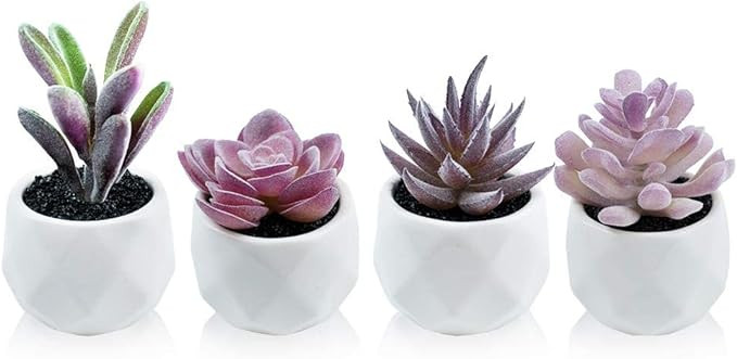 Tiita Purple Artificial Faux Succulents in Pots, Mini Purple Fake Plants for Women Desk, Small Re... | Amazon (US)