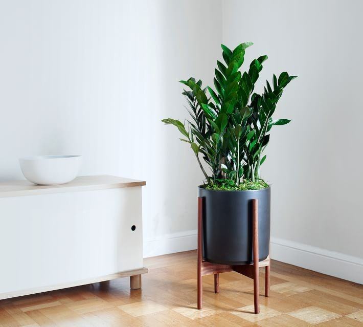 Modern White Ceramic Planters with Wooden Stand | Pottery Barn (US)