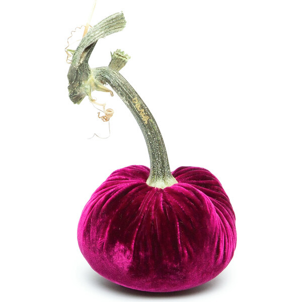 Velvet Pumpkin, Magenta | Maisonette