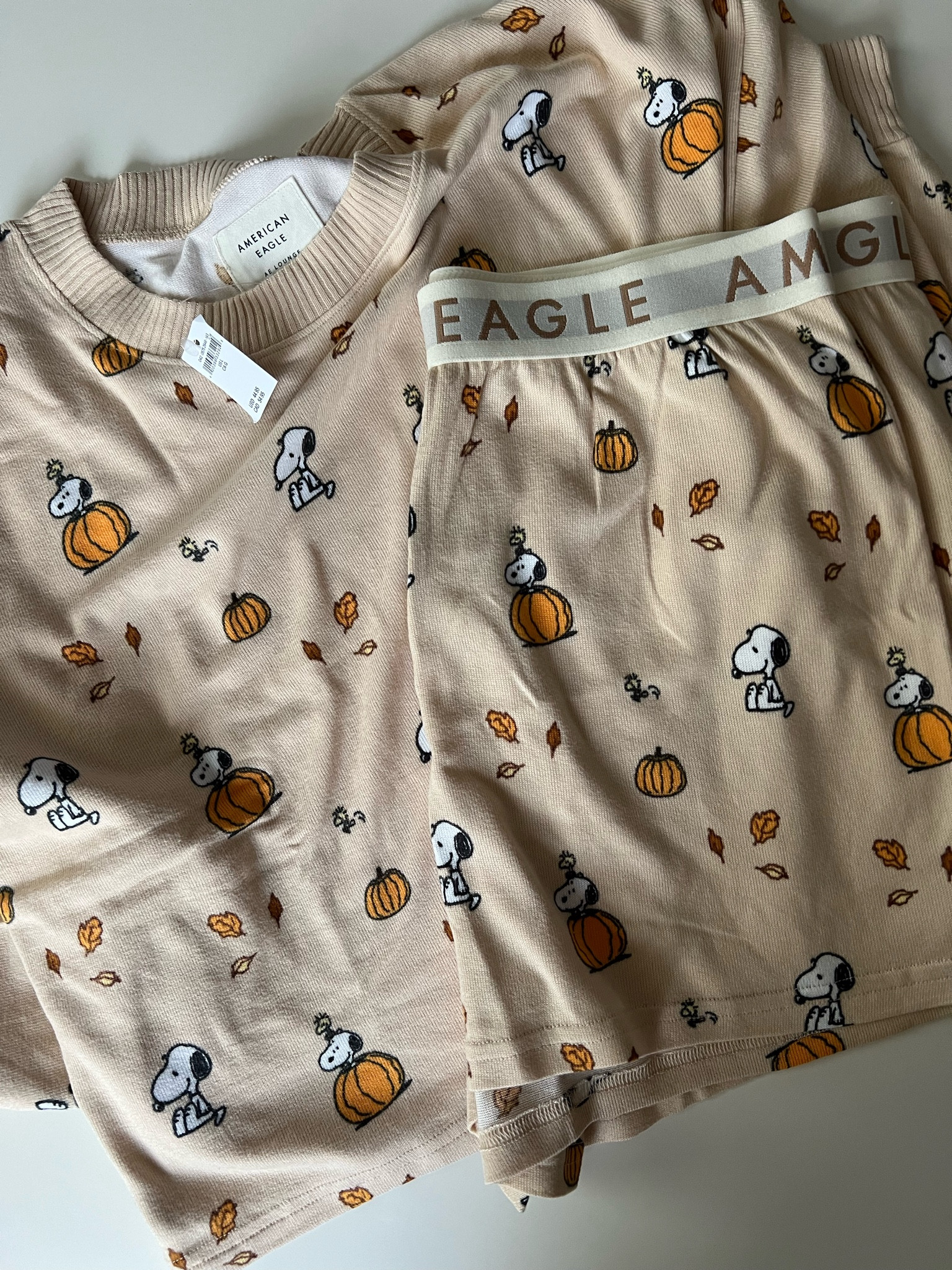 AE Snoopy Fleece PJ Set