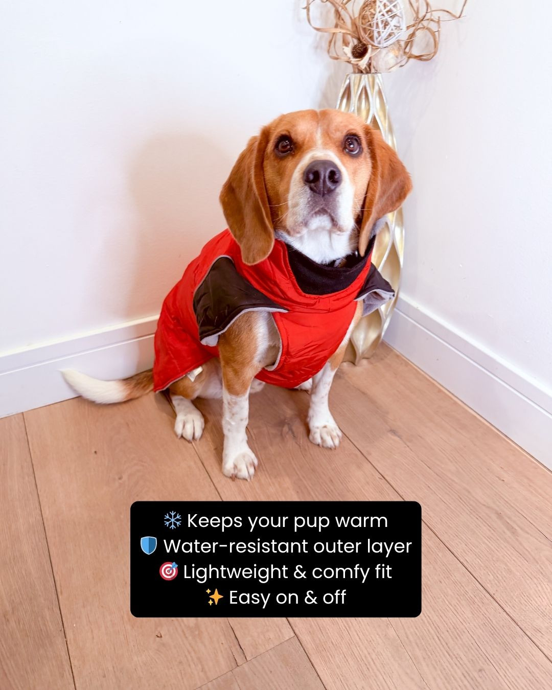 Keep your pup warm and stylish 🐶❄️ with this thermal fleece dog winter jacket! Soft, cozy, and designed for comfort, it’s perfect for chilly walks and outdoor adventures 💖🐾. Easy to wear and super snug, your furry friend will stay toasty while looking extra cute 👀✨. Trust me, this is a cold-weather must-have for your pup 💕

#dogjacket #petfashion #dogclothes #winterpet #dogmom #dogdad #petessentials #cozypup #dogstyle #petcare #doglife #puppylove #petmusthave #dogaccessories #furparent #dogsofinstagram #petlovers #wintergear #coldweather #dogwalking #cutepets #petinspo #ltkhome #petstyle #ltkfinds 

 