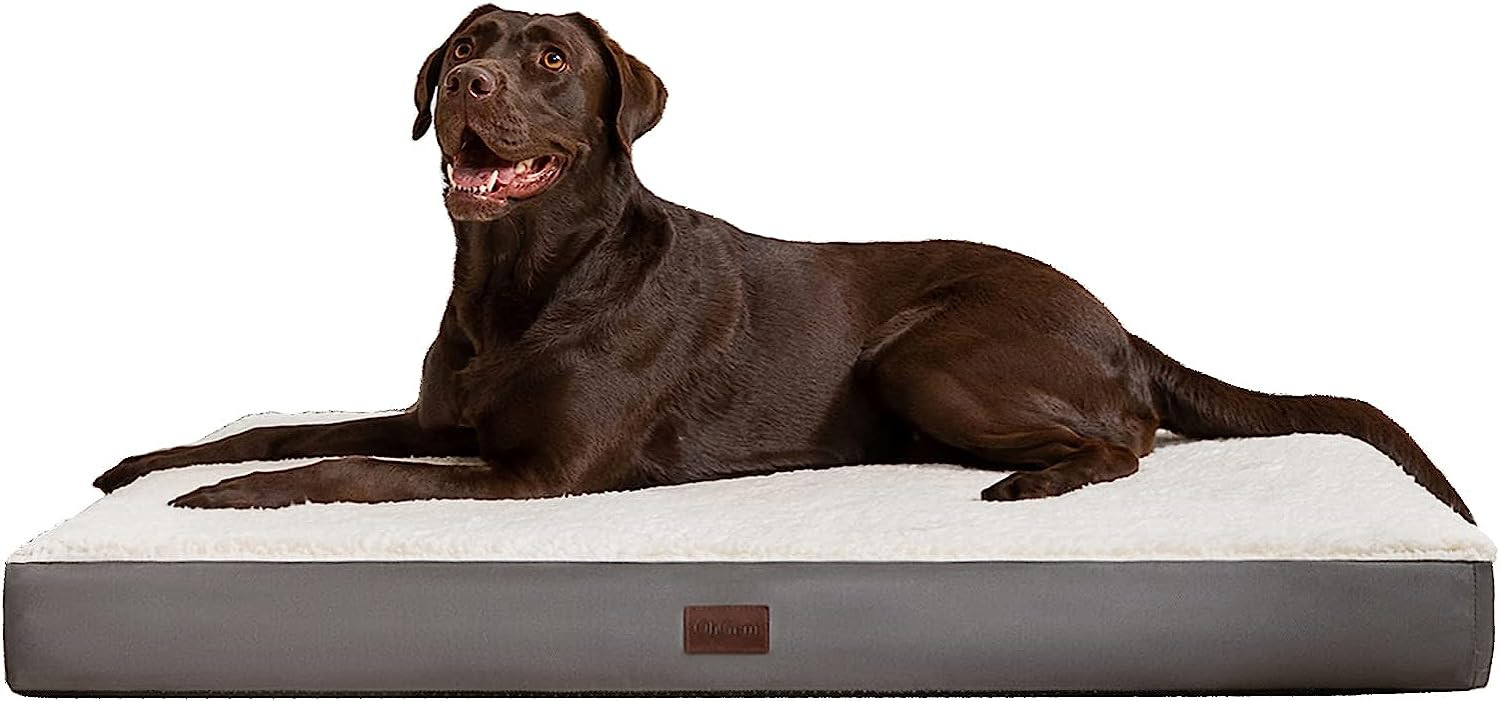 OhGeni Orthopedic Dog Bed for Large Dogs with Plush Egg Foam Support, Waterproof and Machine Wash... | Amazon (US)