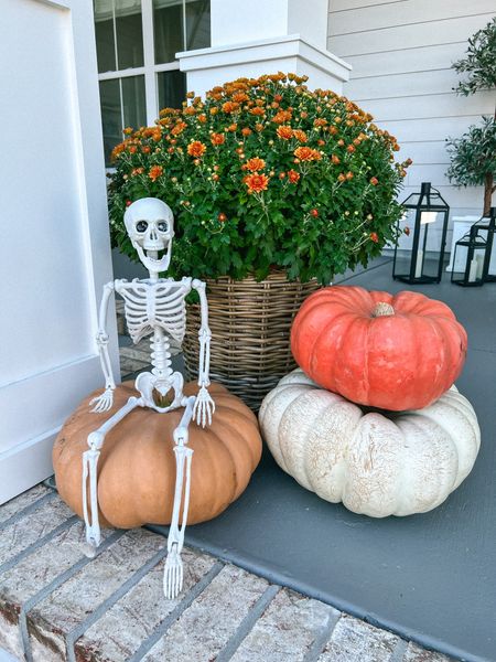 Love these little 24in skeletons perfect for on the porch or entryway! I have two on our porch.

Skeleton, Amazon skeleton, 24 in Skeleton, Halloween decor, fall porch decor





#LTKHalloween #LTKhome #LTKHoliday