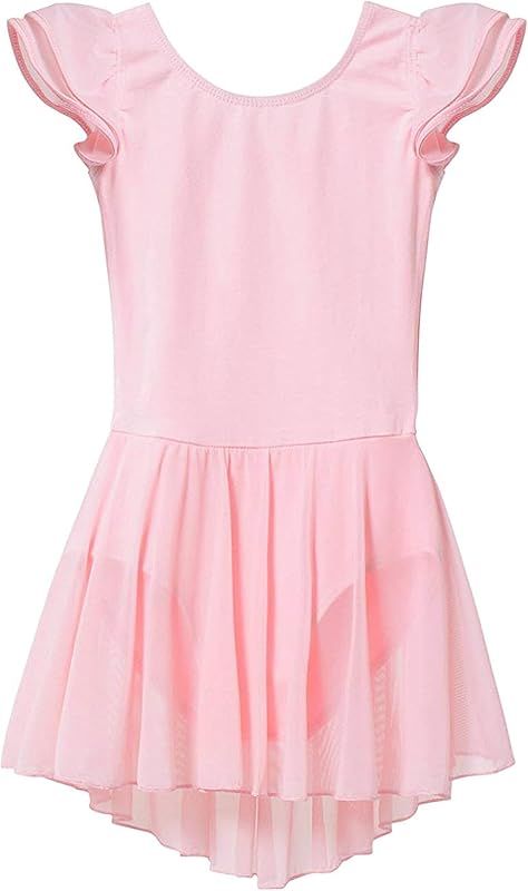 Toddler Girls Ballet Dresses Leotards with Skirt Dance Dress Ballerina Tutu Outfit | Amazon (US)