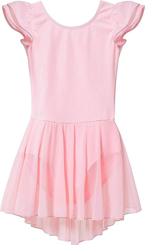 Toddler Girls Ballet Dresses Leotards with Skirt Dance Dress Ballerina Tutu Outfit | Amazon (US)