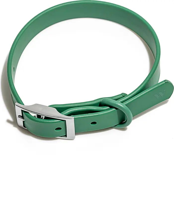 Wild One All-Weather Dog Collar | Nordstrom | Nordstrom