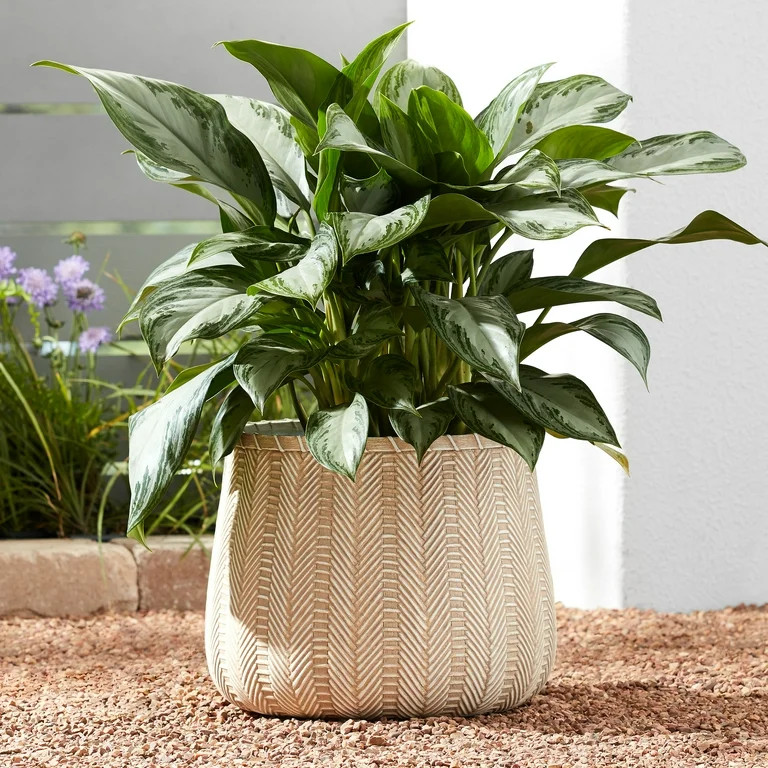 Better Homes & Gardens 15" x 15" x 12" Lantana Beige Resin Planter | Walmart (US)