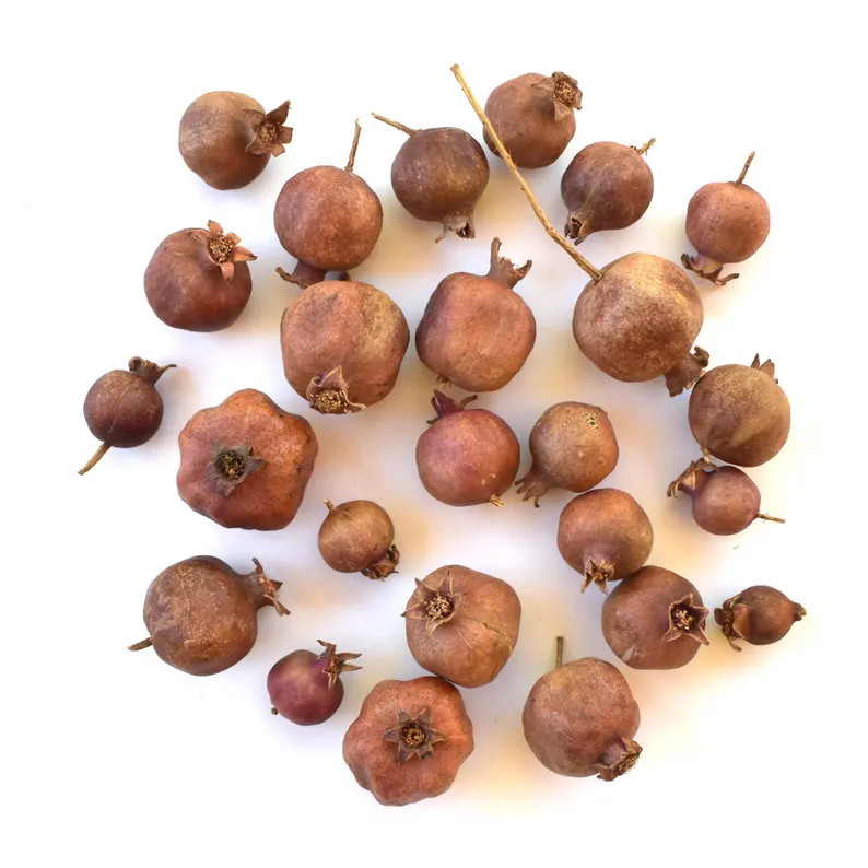 Dried Pomegranate Fruit for Bowl Fillers Floral Arrangements Garland Wreath Natural Seasonal Deco... | Etsy (US)